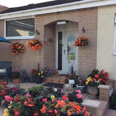Lowefield B&B Stirling Exteriér fotografie