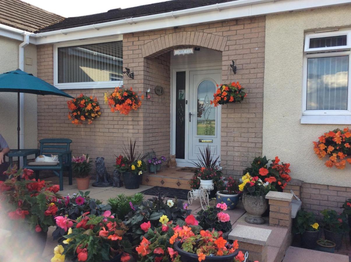 Lowefield B&B Stirling Exteriér fotografie